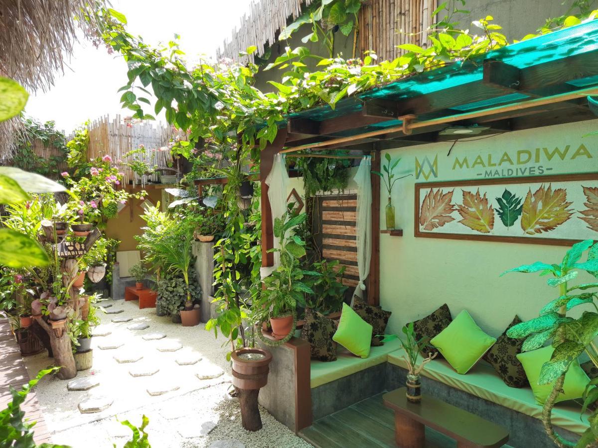 Maladiwa Beach & Spa Maafushi Bagian luar foto
